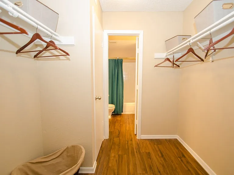 Additional storage space with shelving and wood-style flooring.