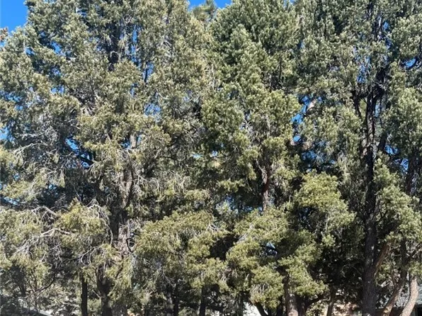 177 Sunset Ln, Sugarloaf, CA 92386