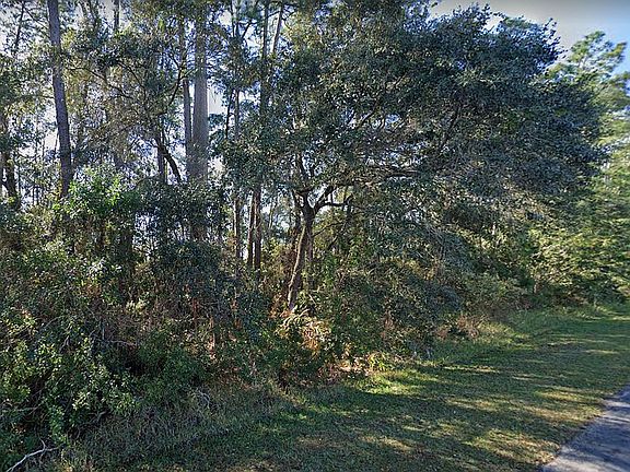 3rd image of 113 Allamanda Dr