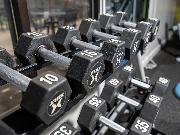 Fitness Studio with Free Weights