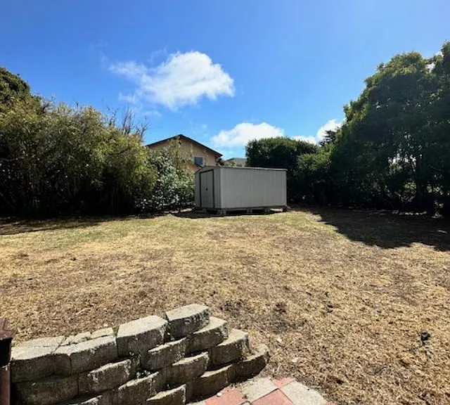 1184 Palm Ave — Photo 3