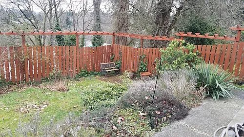 10502 Victory Ln NE #LOWER Photo 1