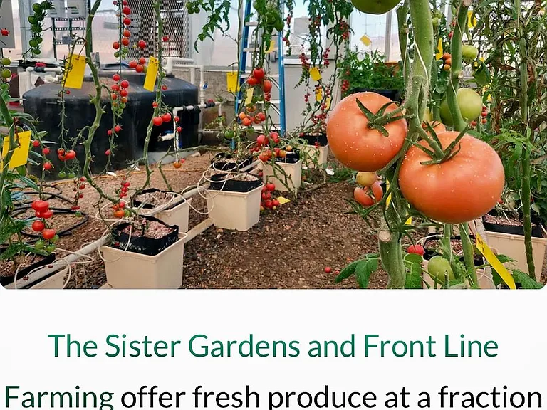 Zen residents have access to produce from the garden and greenhouse on the property