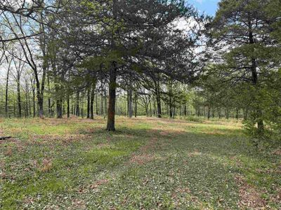 63 Briarwood St, Greenbrier, AR, 72058