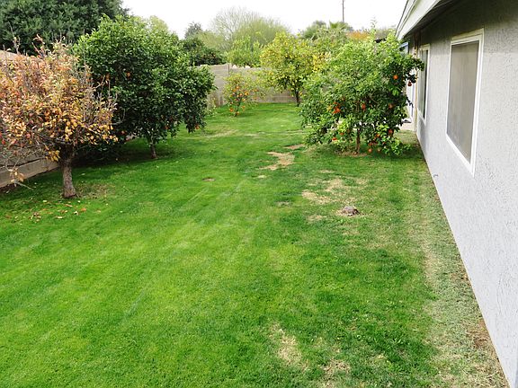 5th image of 8207 W Tuckey Ln