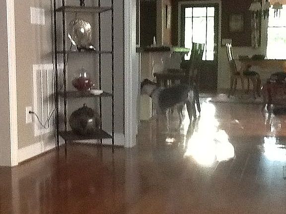 to kitchen/diningfrom living