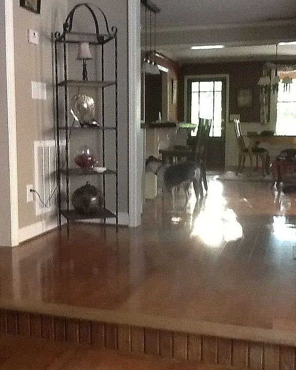 to kitchen/diningfrom living