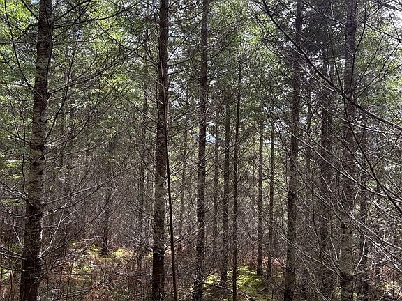 4th image of 0 Boiler Creek Rd