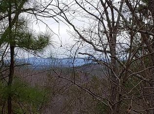 972 Raccoon Rdg NE, Ranger, GA 30734