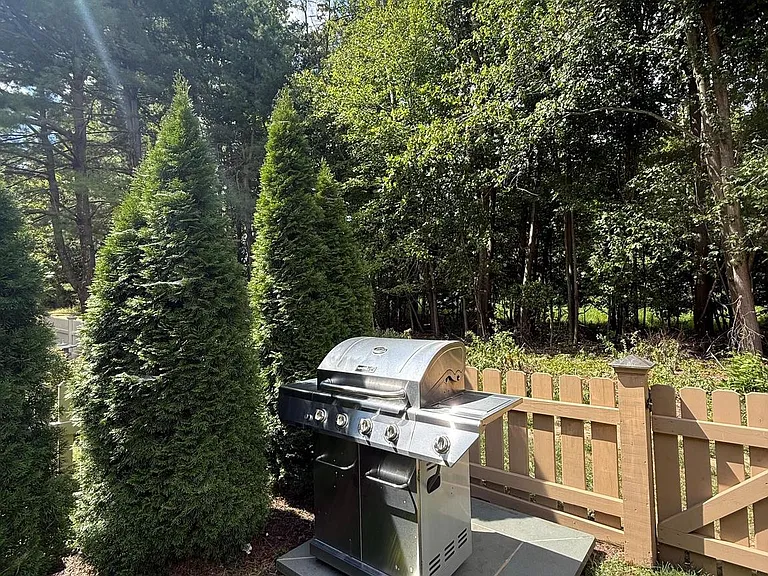 10 Devon Ct — Photo 52