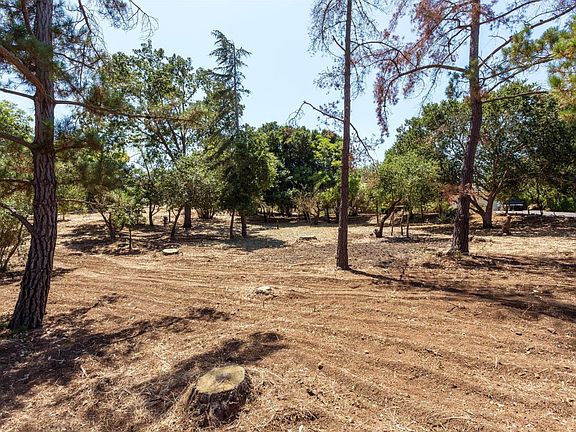 2nd image of 13781 Ciceroni Ln