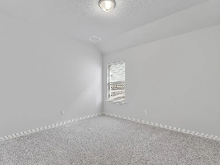 232 Tangled Brush Dr — Photo 23