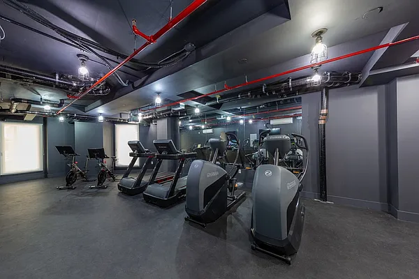 Rented by Bold New York | media 42