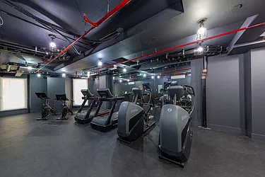 Rented by Bold New York