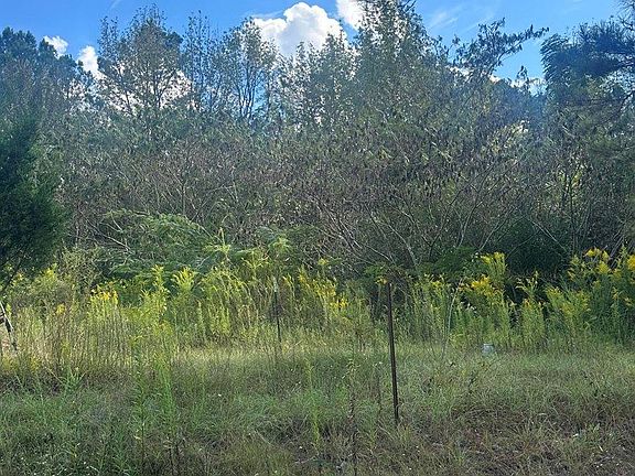 4th image of 0 N Enoch Grove Rd