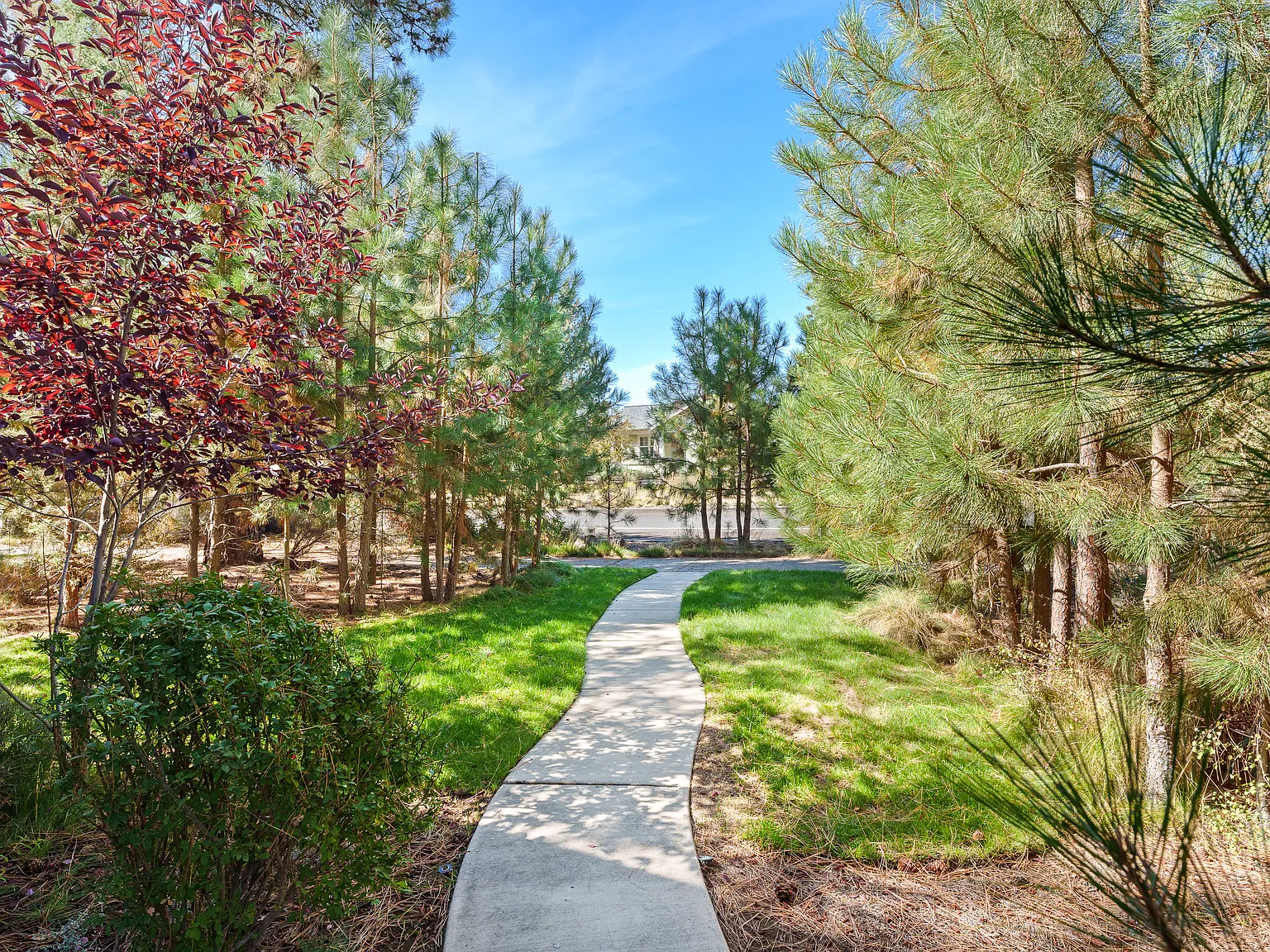 2 bed, $2,595 — Photo 3