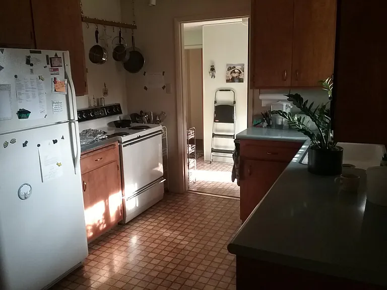 Slightly dark kitchen shot. There's a new stove with an induction surface.