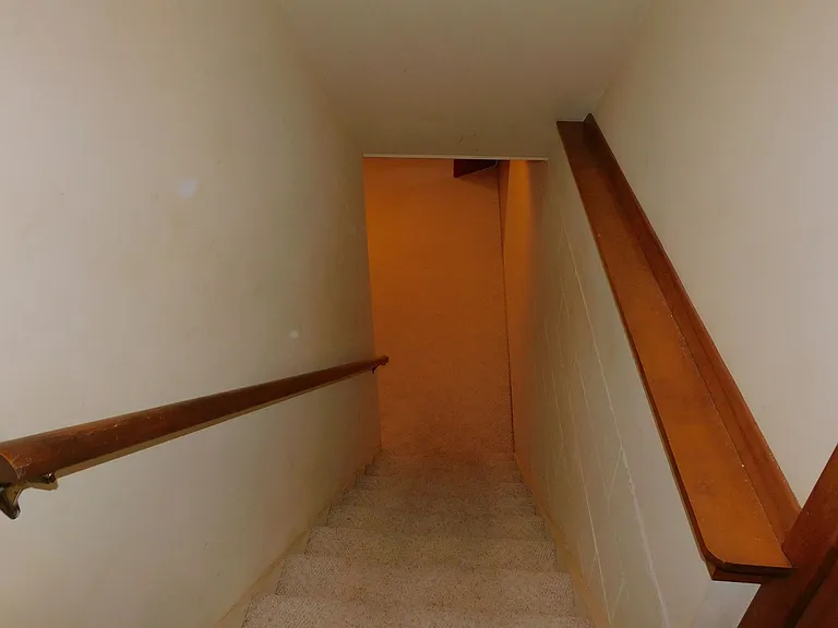 1133 N Howard Ave — Photo 12