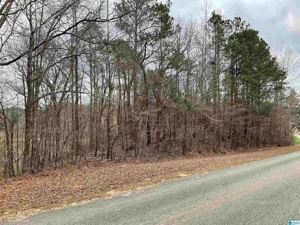 0 County Road 5 #1, Thorsby, AL 35171