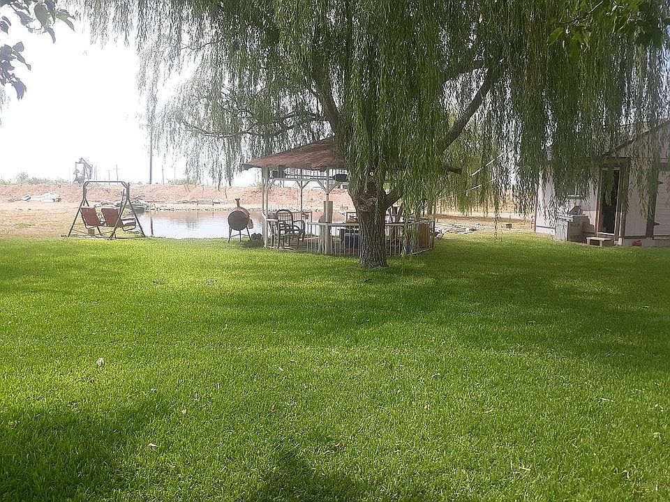 Back Yard Fishing & Fun