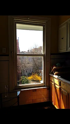 Rented by M & J Tenaglia Realty Corp | media 19