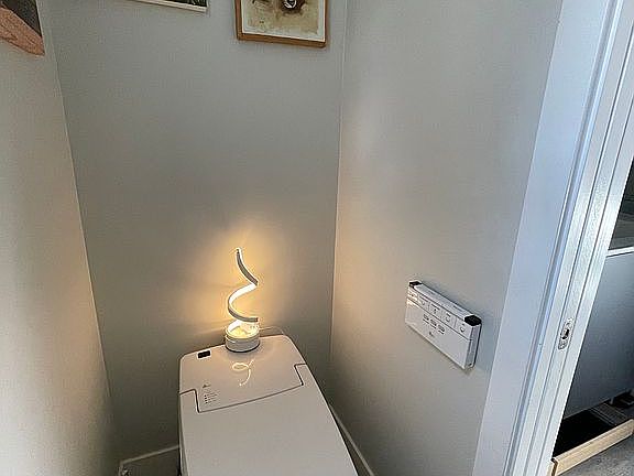 Fancy bidet style toilet