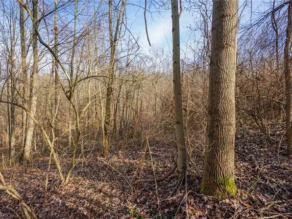 LOT 5 Wilbur Bush Rd NW, Crooksville, OH 43731