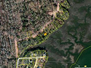 38 Henry Morgan Dr, Hollywood, SC 29449