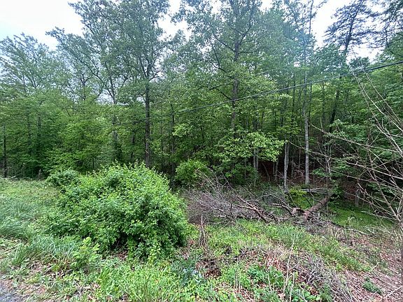 3rd image of 0 Timberview Rd
