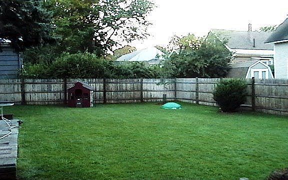 AUG 2007 - Back yard