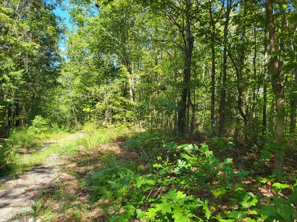 7 Strawberry Gables Gables, Holladay, TN 38341