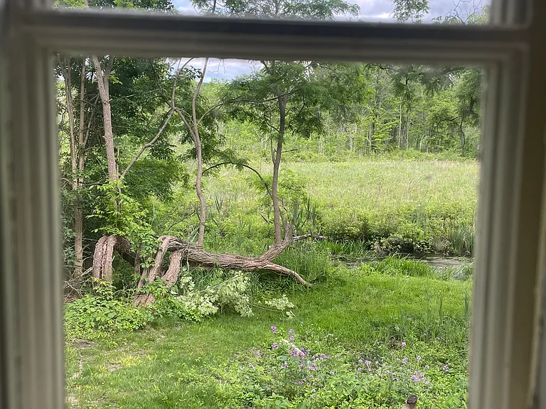 view from the living room