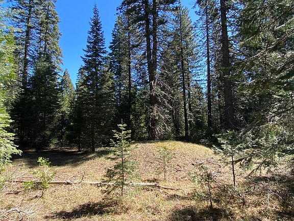 3rd image of 3-E-7 Mount Shasta Dr