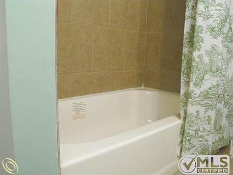 Bathtub.jpg