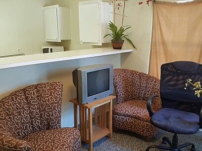 Kitchen Bar/Living area