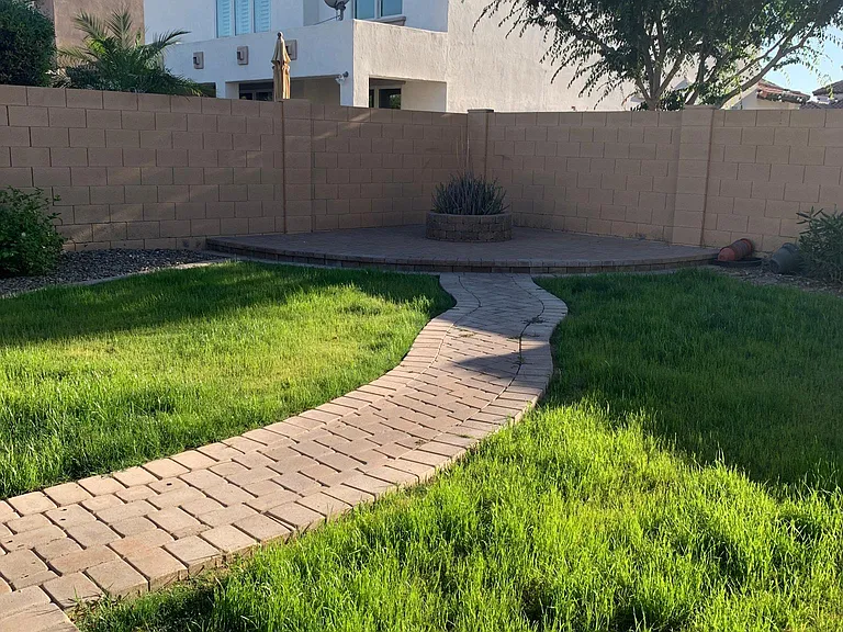 Back Yard Turf And Fire Place