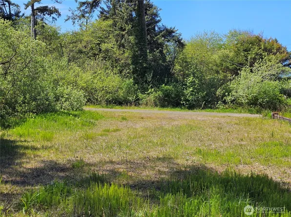 15 cedar Lane, Pacific Beach, WA 98571
