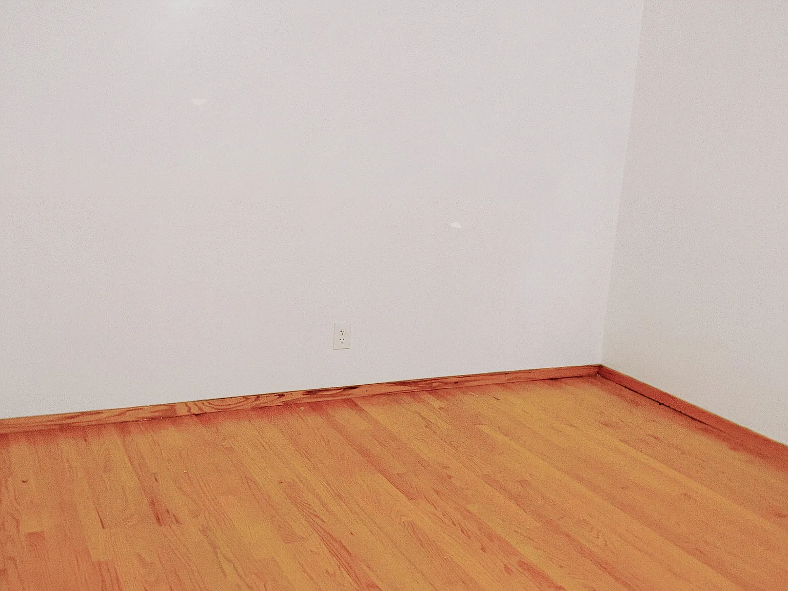 2 bed, 700 sqft, $1,500 — Photo 4