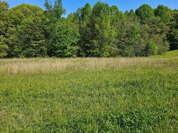 0 County Road 321 Lot 7, Niota, TN 37826