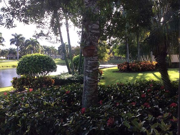 Window View & Landscape