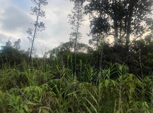 Road 1, Mountain View, HI 96771