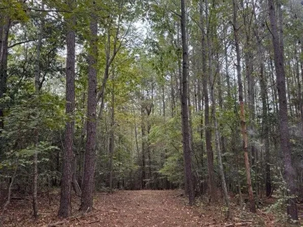 3829 Standing Pine Ln, Zebulon, NC 27597