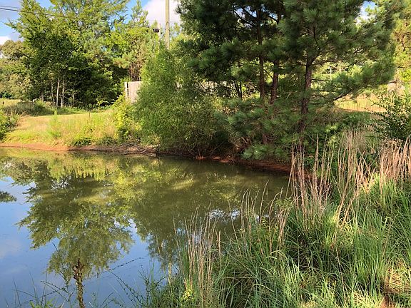 Front yard Pond for fishing