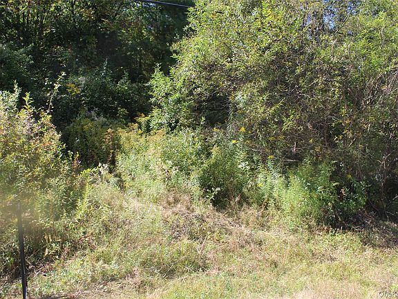 5th image of Trout Brook Road