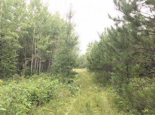 65 Ac. Pine Lake Rd, Minocqua, WI 54548
