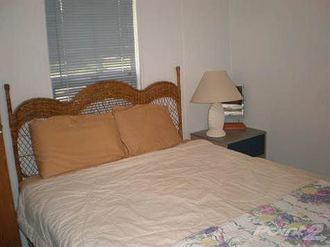 Queen Bed and Headboard