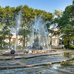 Rented by Nooklyn NYC LLC