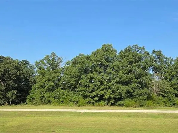 0 Springer Rd, Bonne Terre, MO 63628