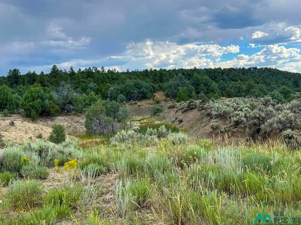 Highway 84, Tierra Amarilla, NM 87575