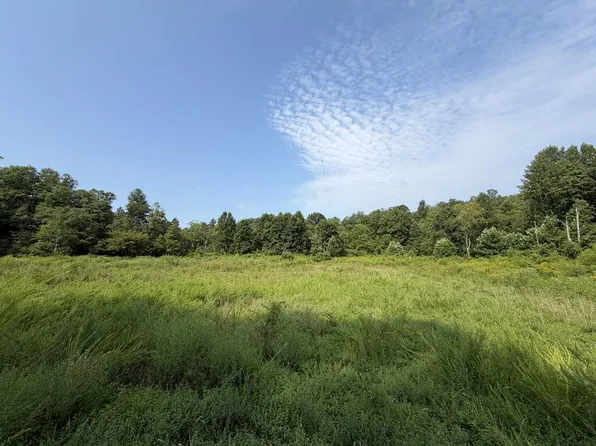 Skull Creek Rd, Robbins, TN 37852